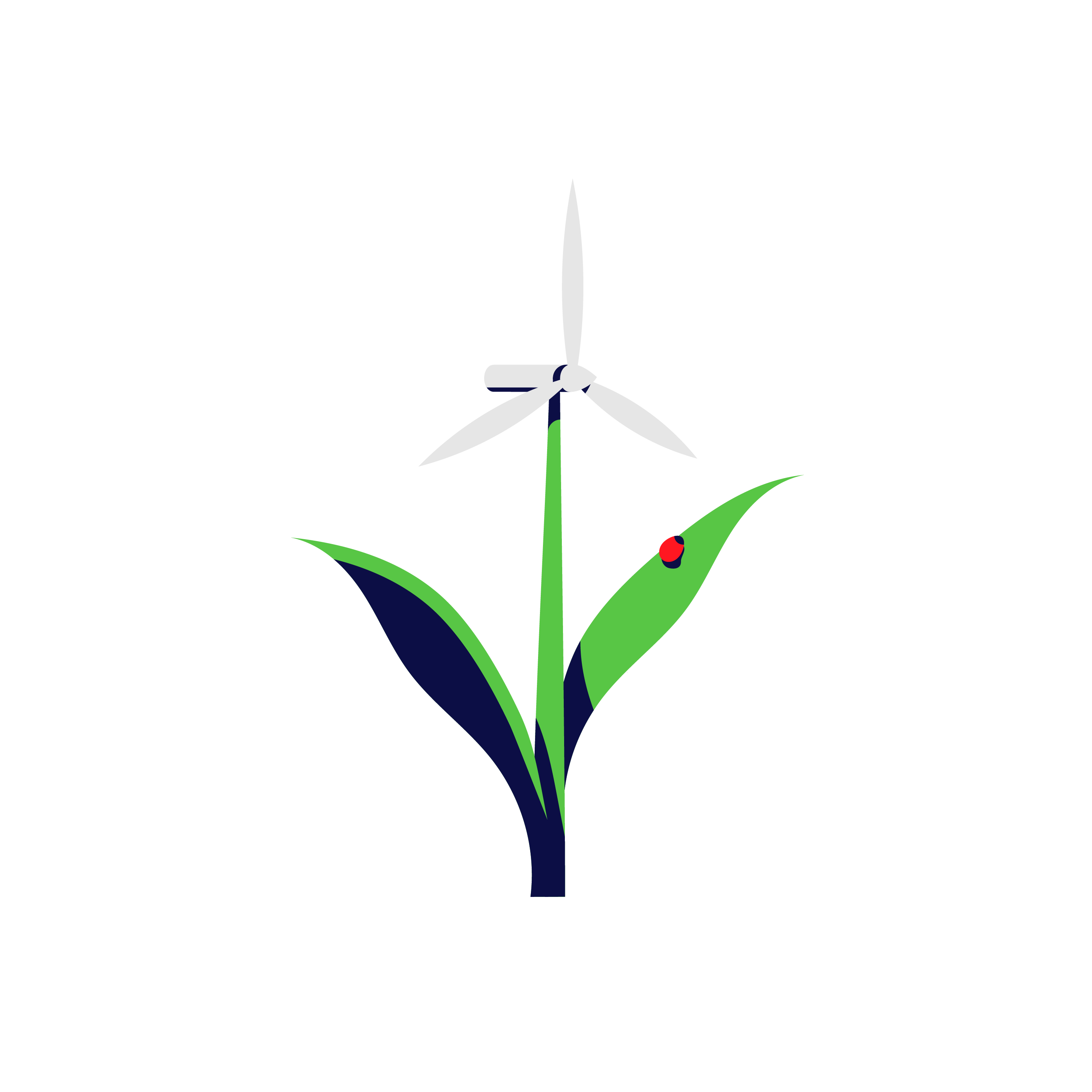 sustainable-assignments.png