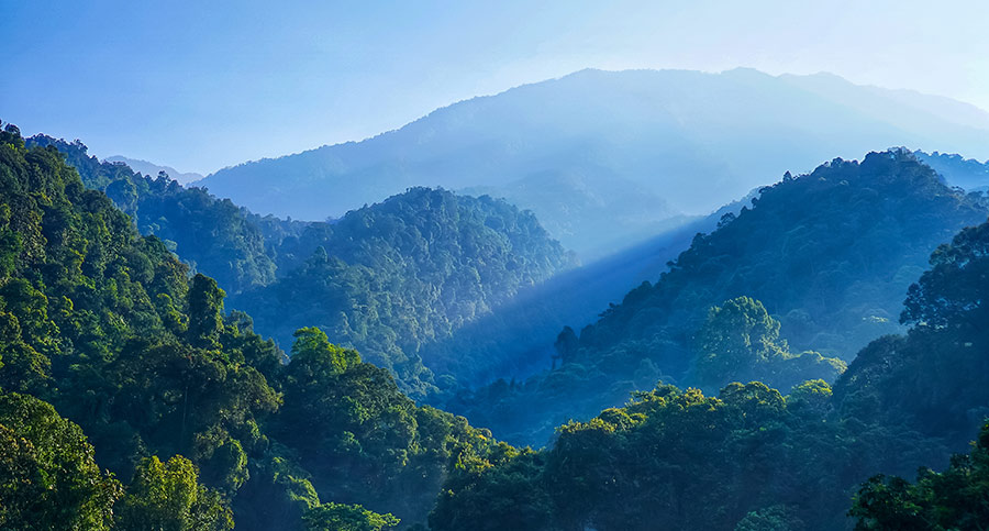 Indonesia Landscape