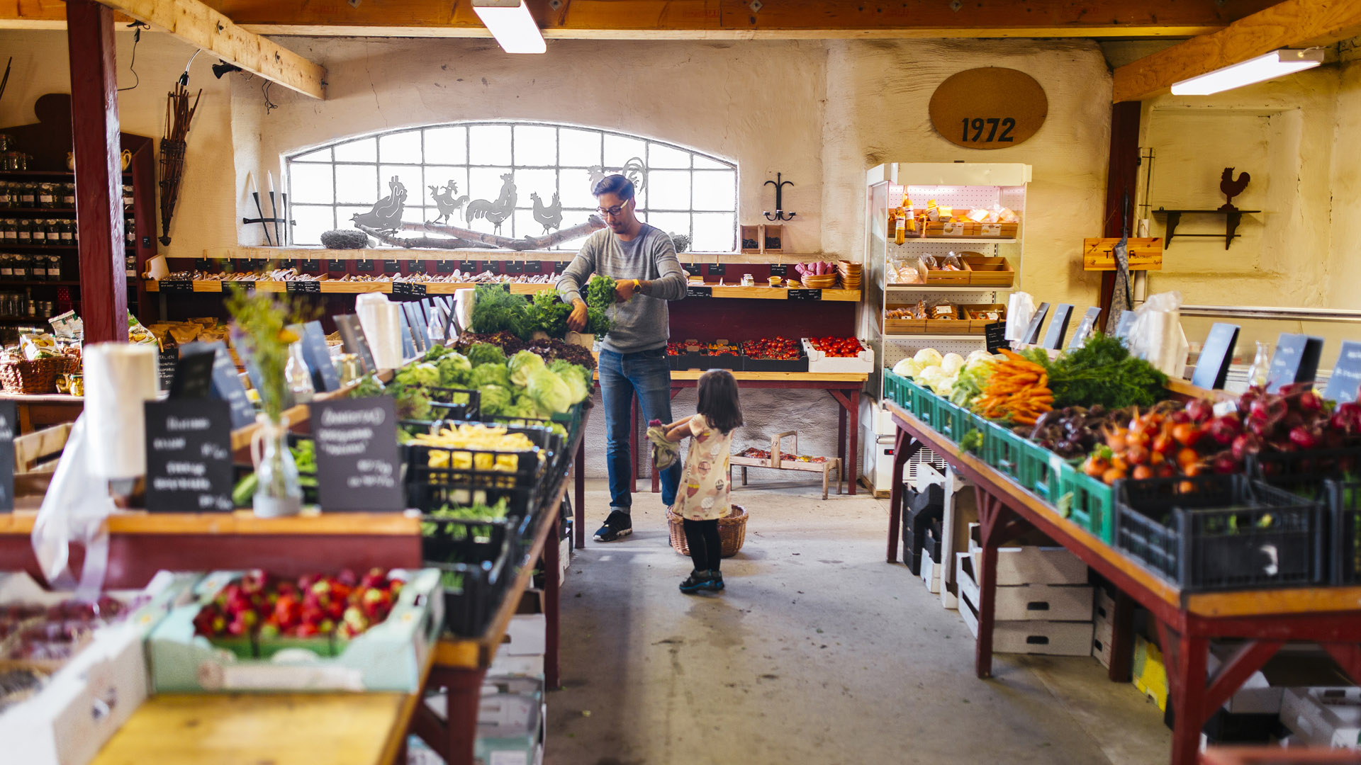 Father and daughter picking produce 